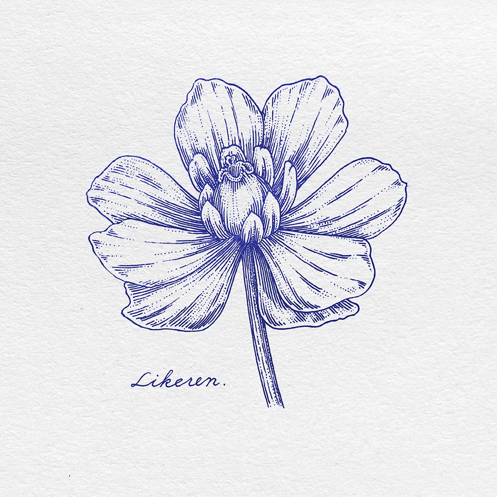 63d63bc7004bee0.jpg