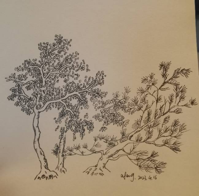 每日一画_线描画