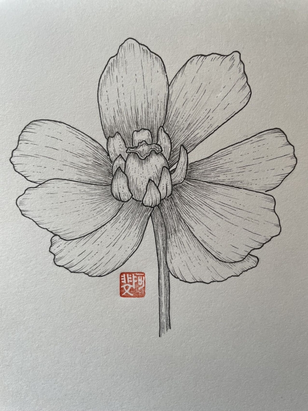 春天的花花1_线描画