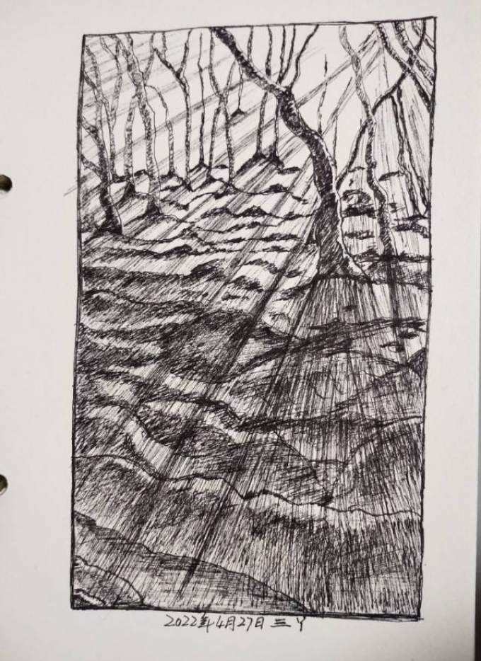 黑暗森林_线描画