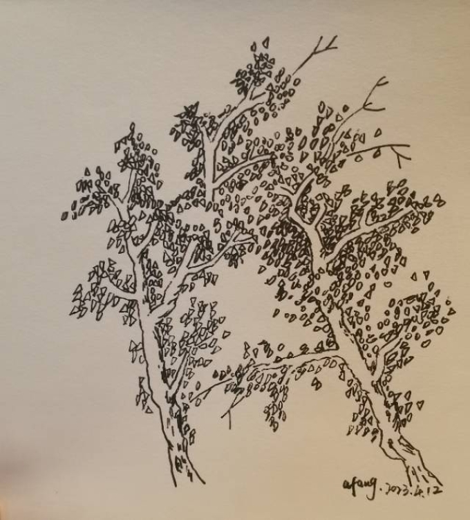 每日一画_线描画