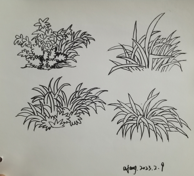 每日一画_线描画