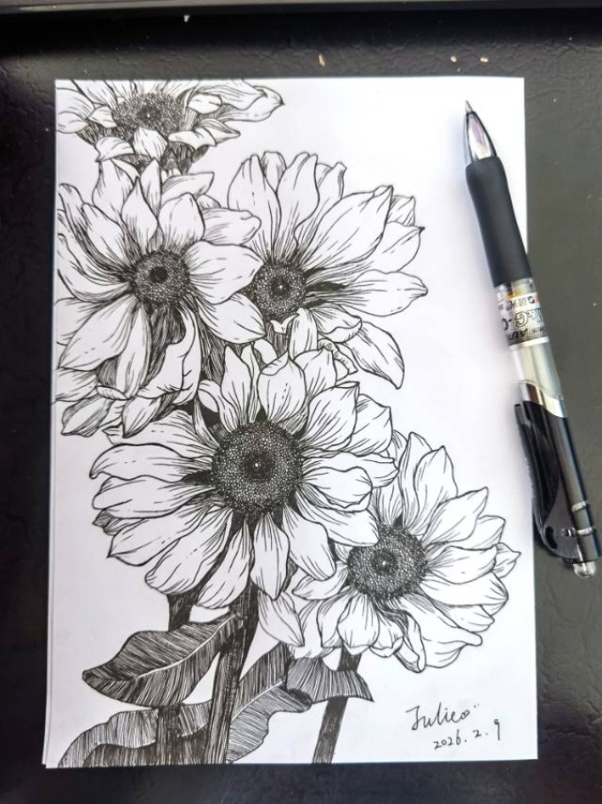 向阳而生_线描画