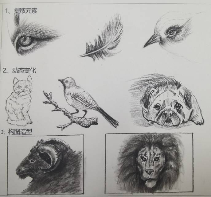 每日一画_线描画