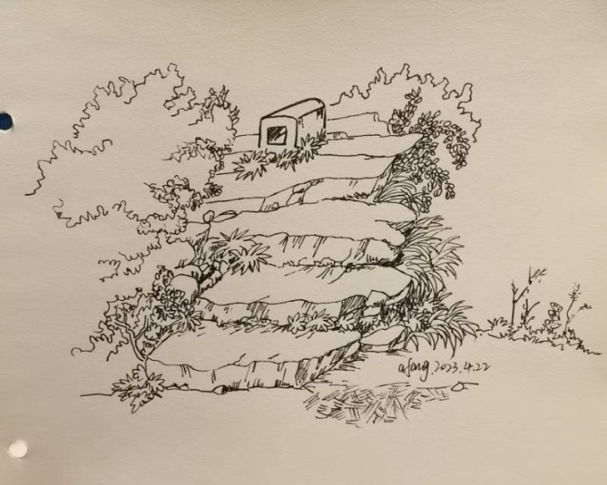 每日一画_线描画