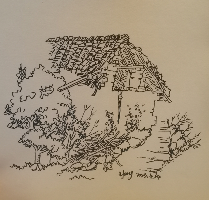 每日一画_线描画