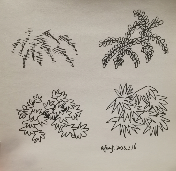 每日一画_线描画