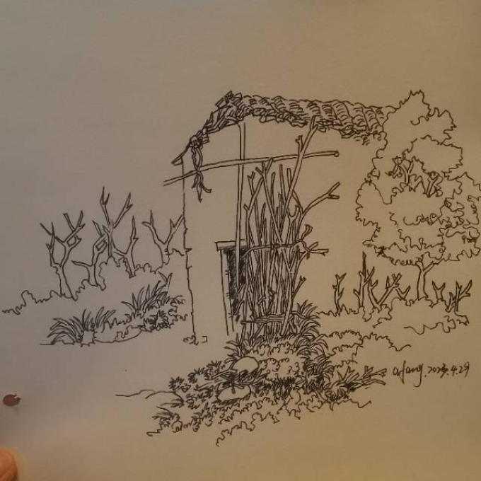 每日一画_线描画