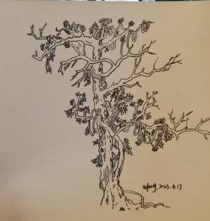 每日一画_线描画