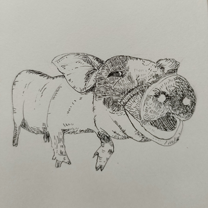 。。。。。。_线描画