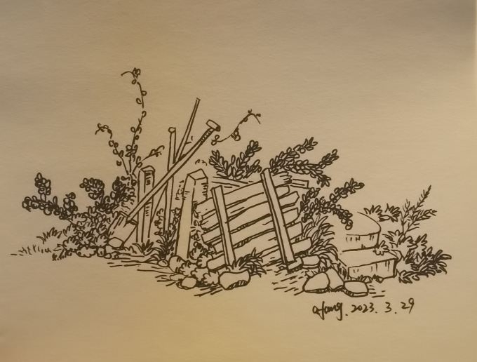 每日一画_线描画