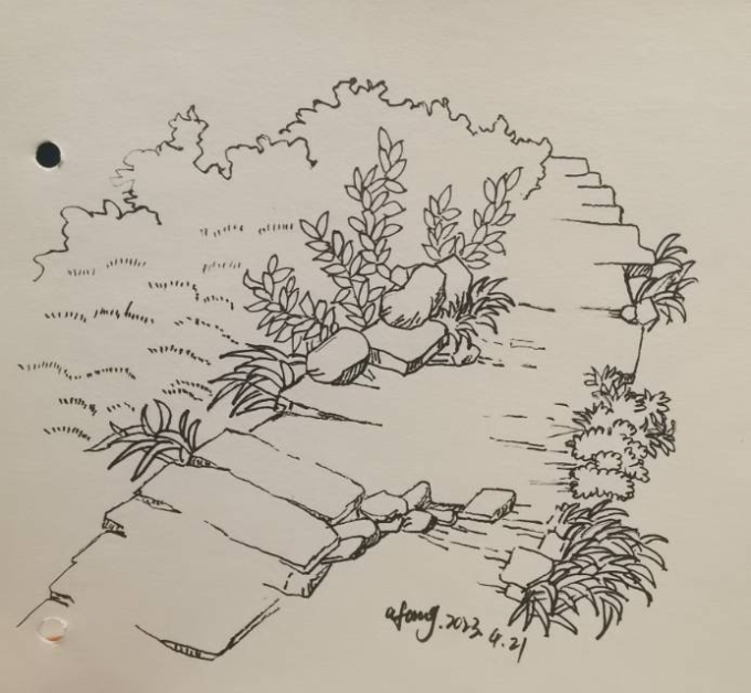 每日一画_线描画