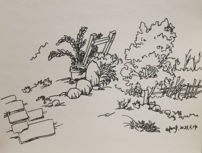 每日一画_线描画