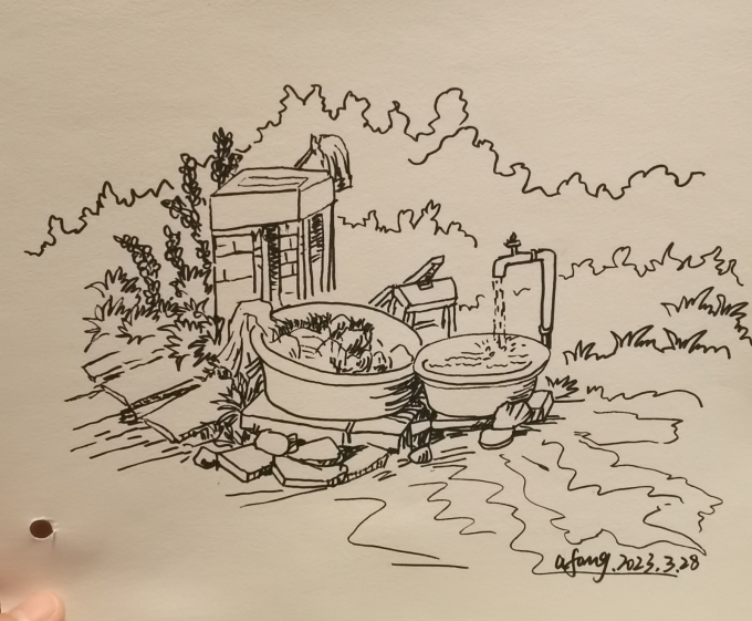 每日一画_线描画