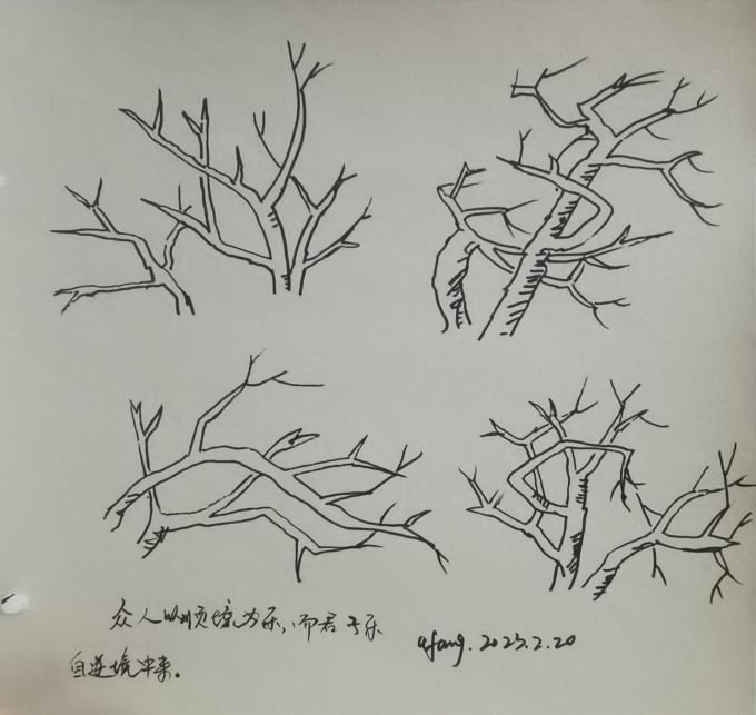 每日一画_线描画