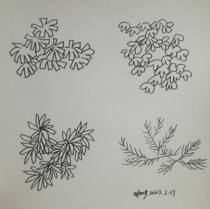 每日一画_线描画