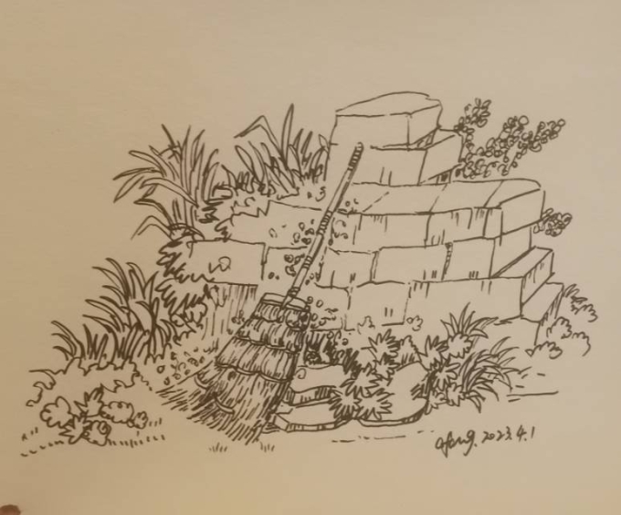 每日一画_线描画