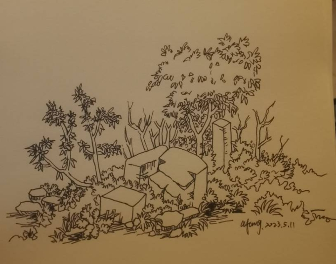 每日一画_线描画