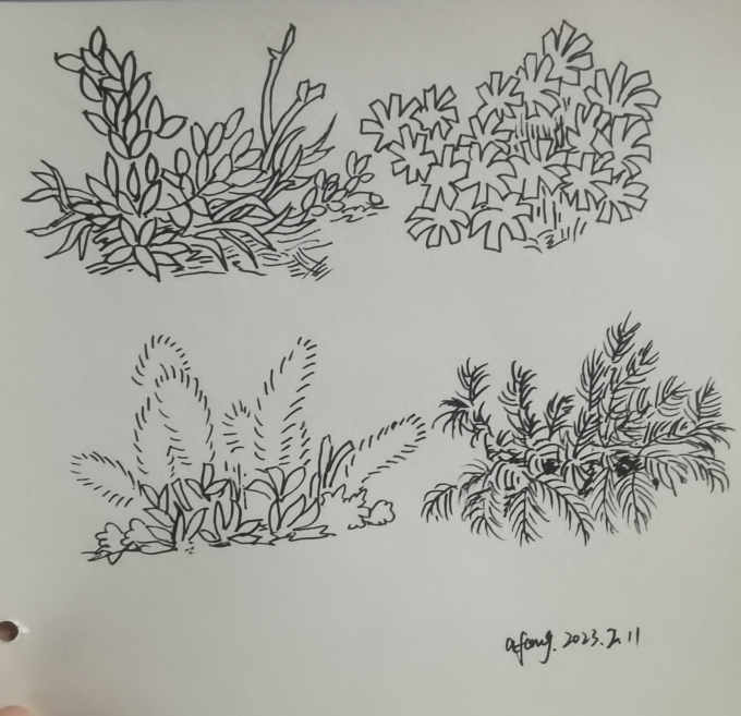 每日一画_线描画