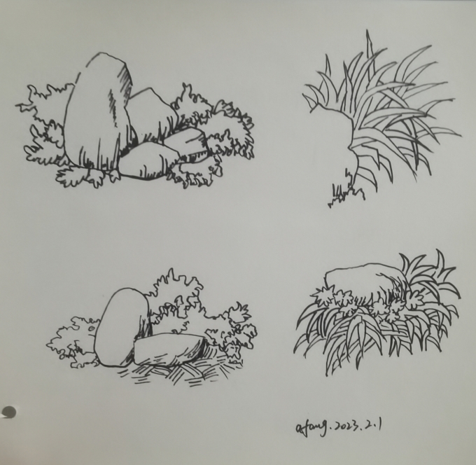 每日一画_线描画