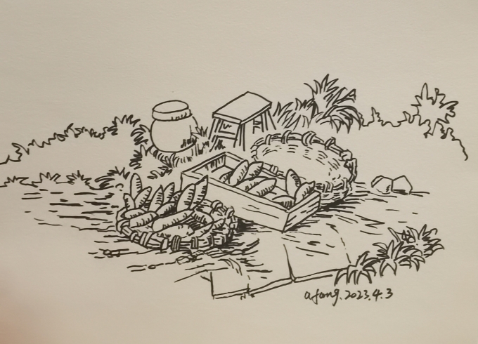 每日一画_线描画