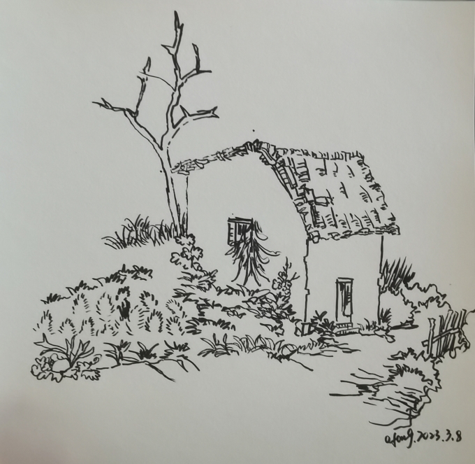 每日一画_线描画