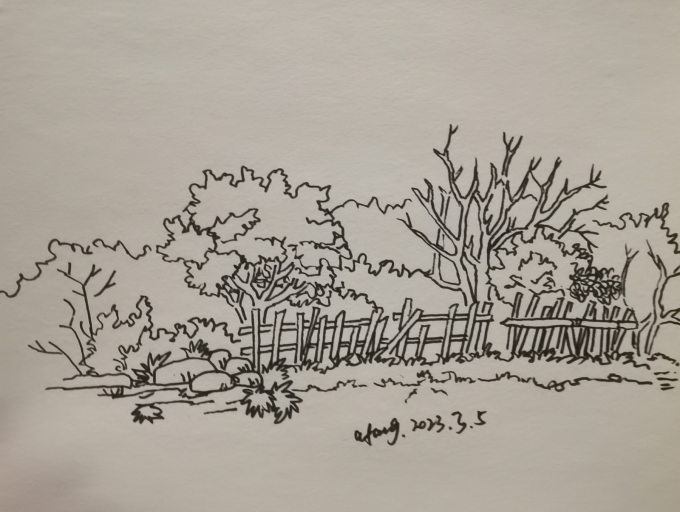 每日一画_线描画