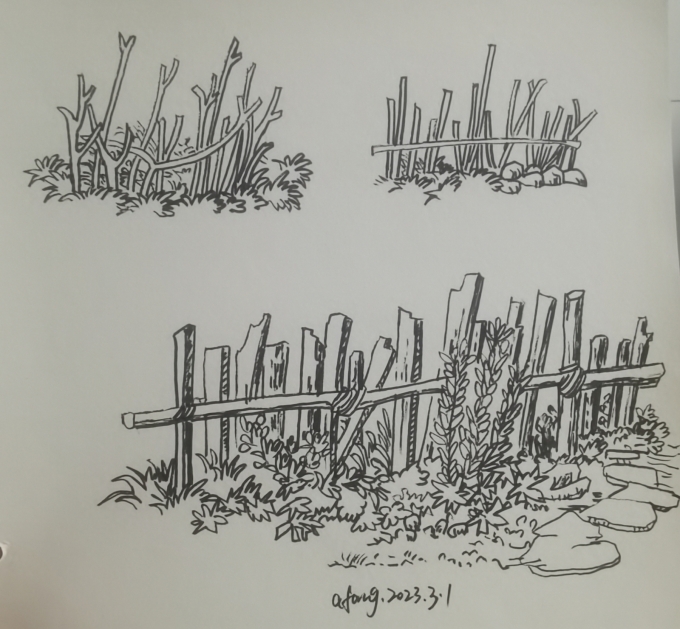 每日一画_线描画