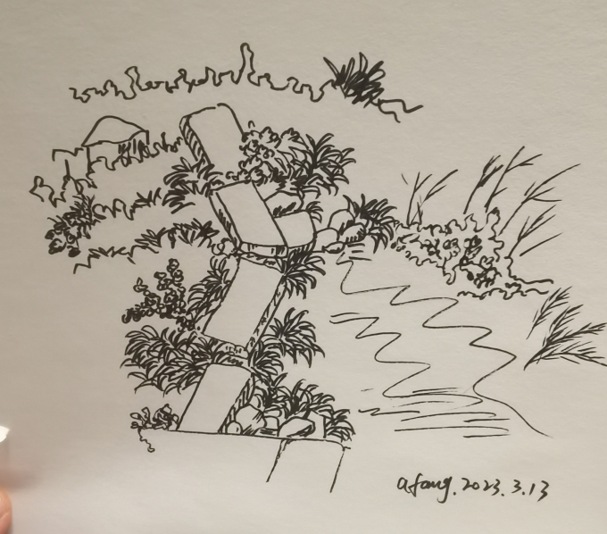 每日一画_线描画