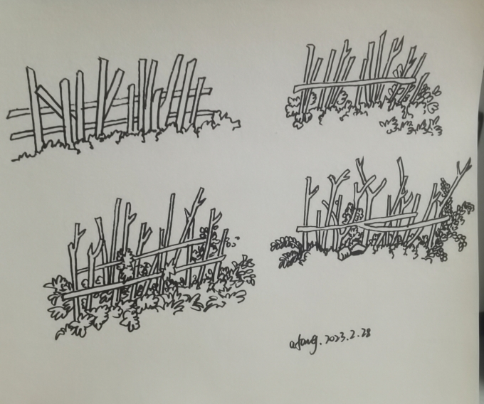 每日一画_线描画