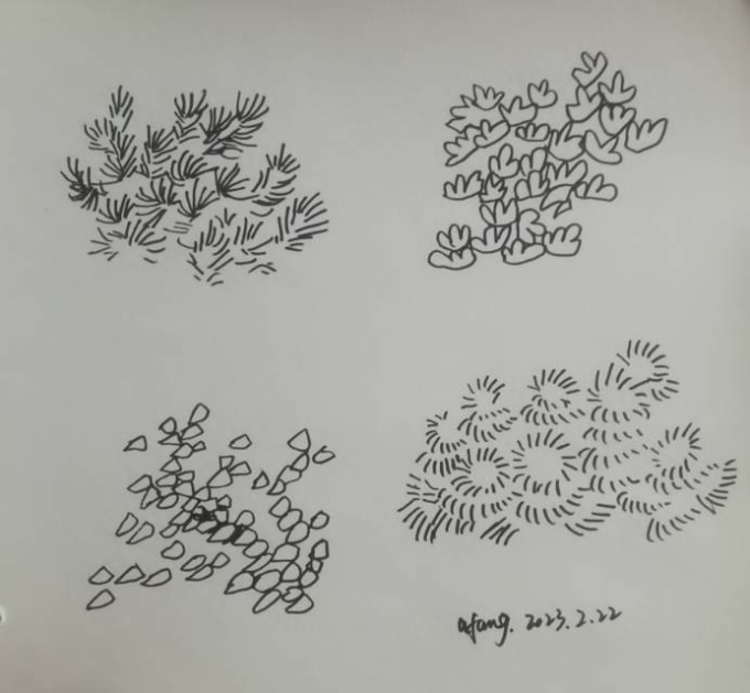 每日一画_线描画