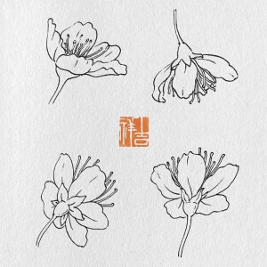 李花