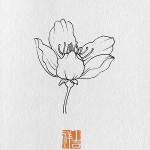梨花