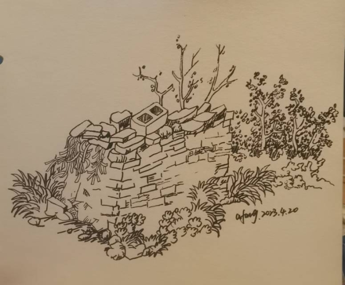 每日一画_线描画