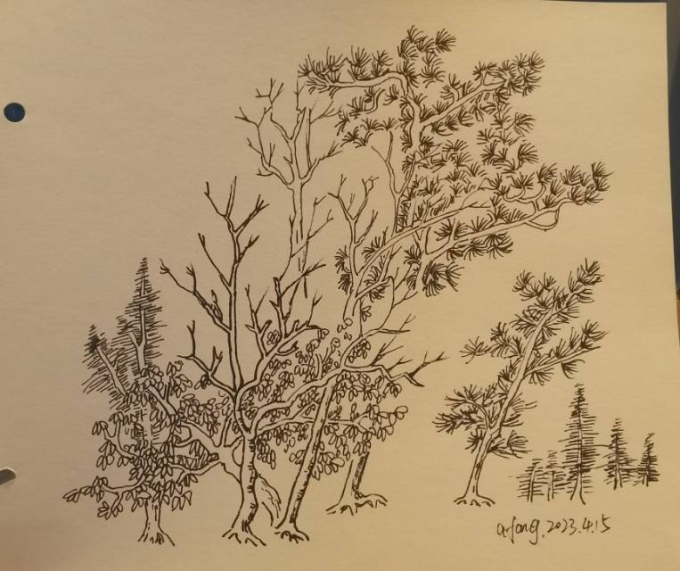 每日一画_线描画