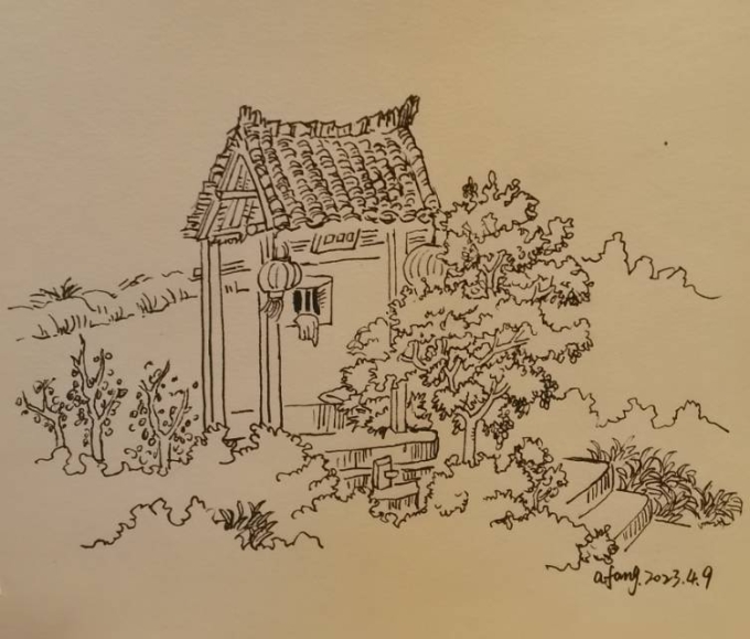 每日一画_线描画