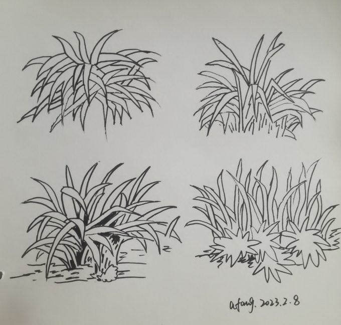 每日一画_线描画