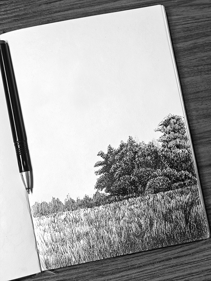 田野风景_线描画