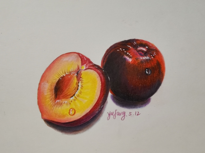 带水滴的李子_线描画