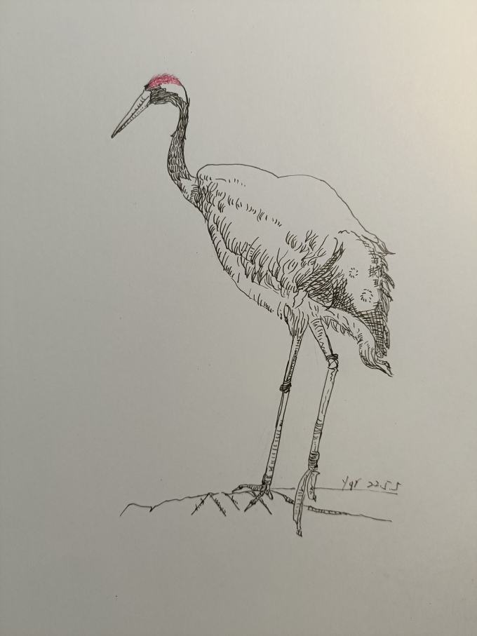 。。。。。_线描画