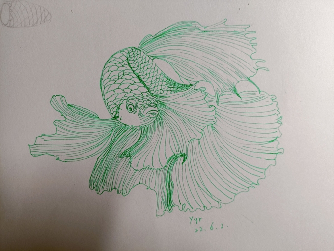 继续造。。。_线描画