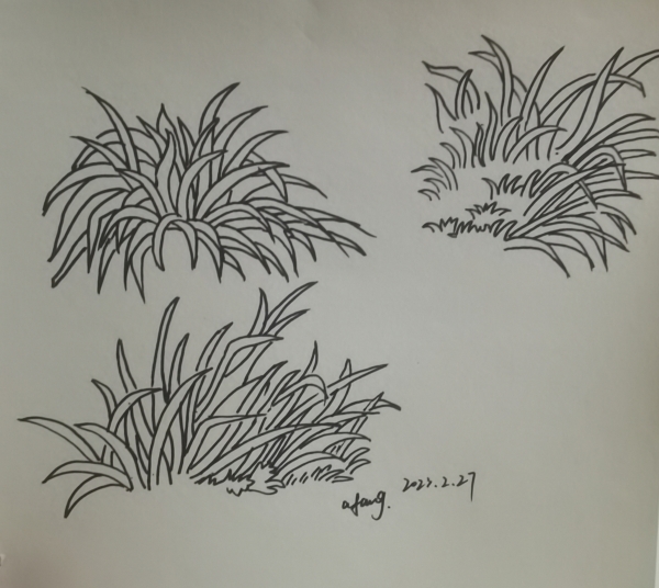 每日一画_线描画