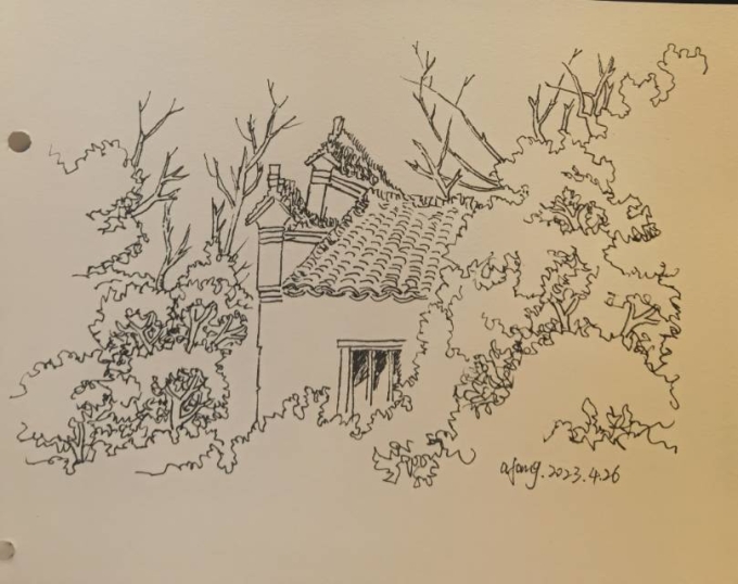 每日一画_线描画