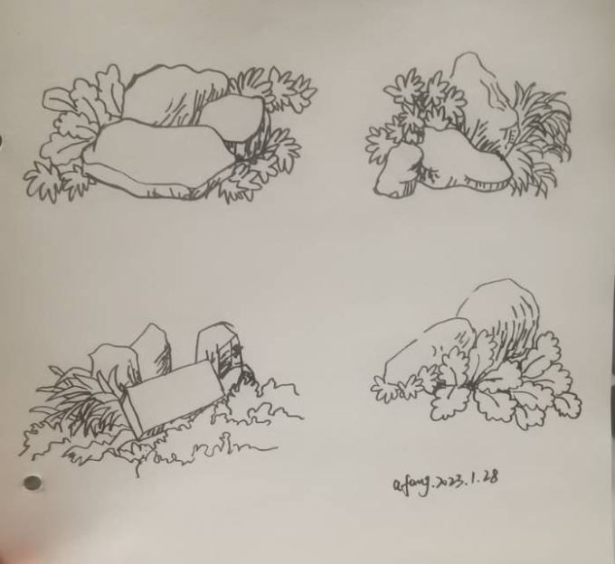 每日一画_线描画