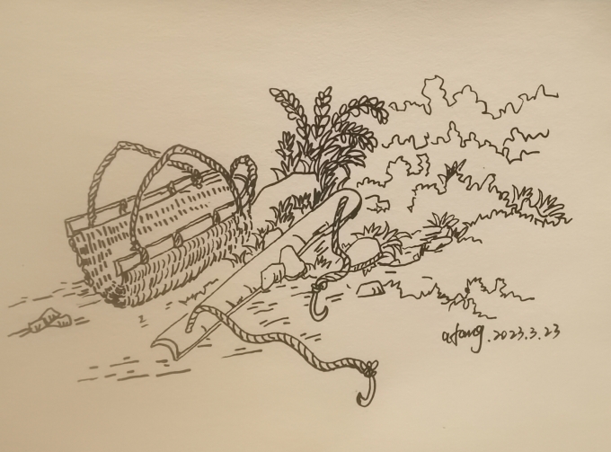 每日一画_线描画