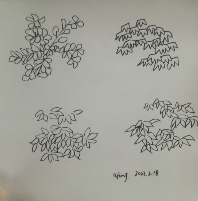 每日一画_线描画