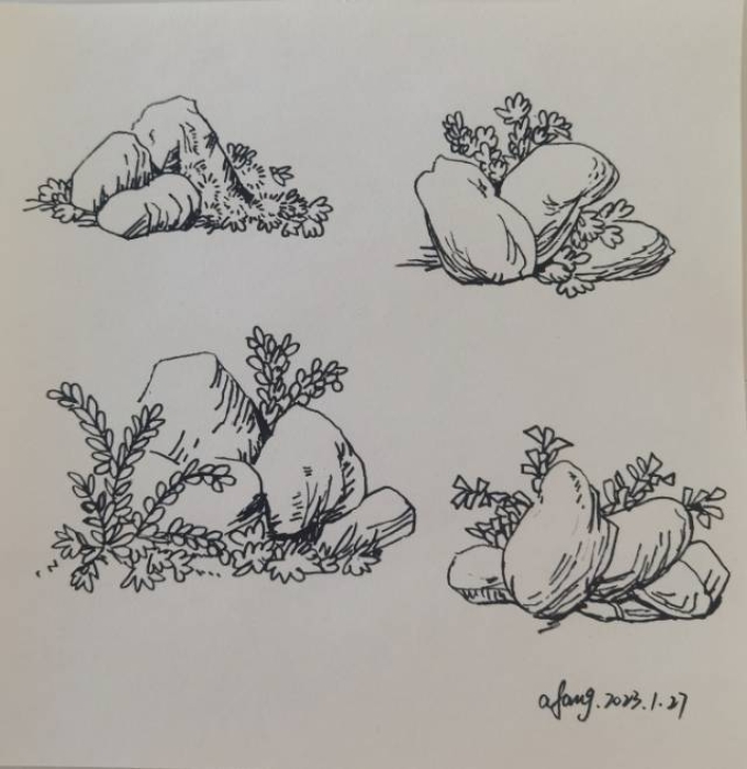 每日一画_线描画