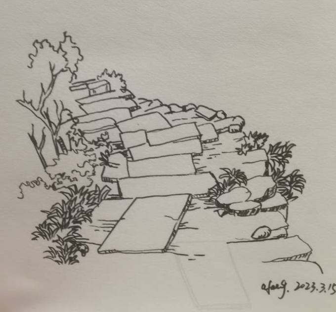 每日一画_线描画