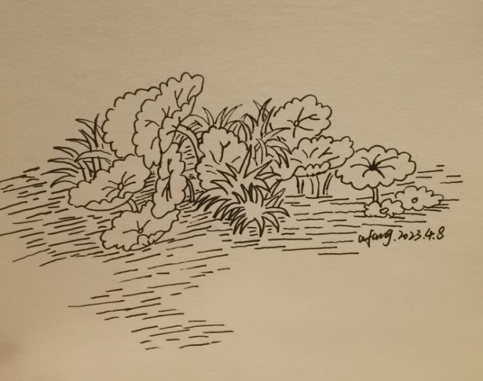 每日一画_线描画