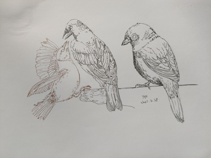 。。。。。_线描画